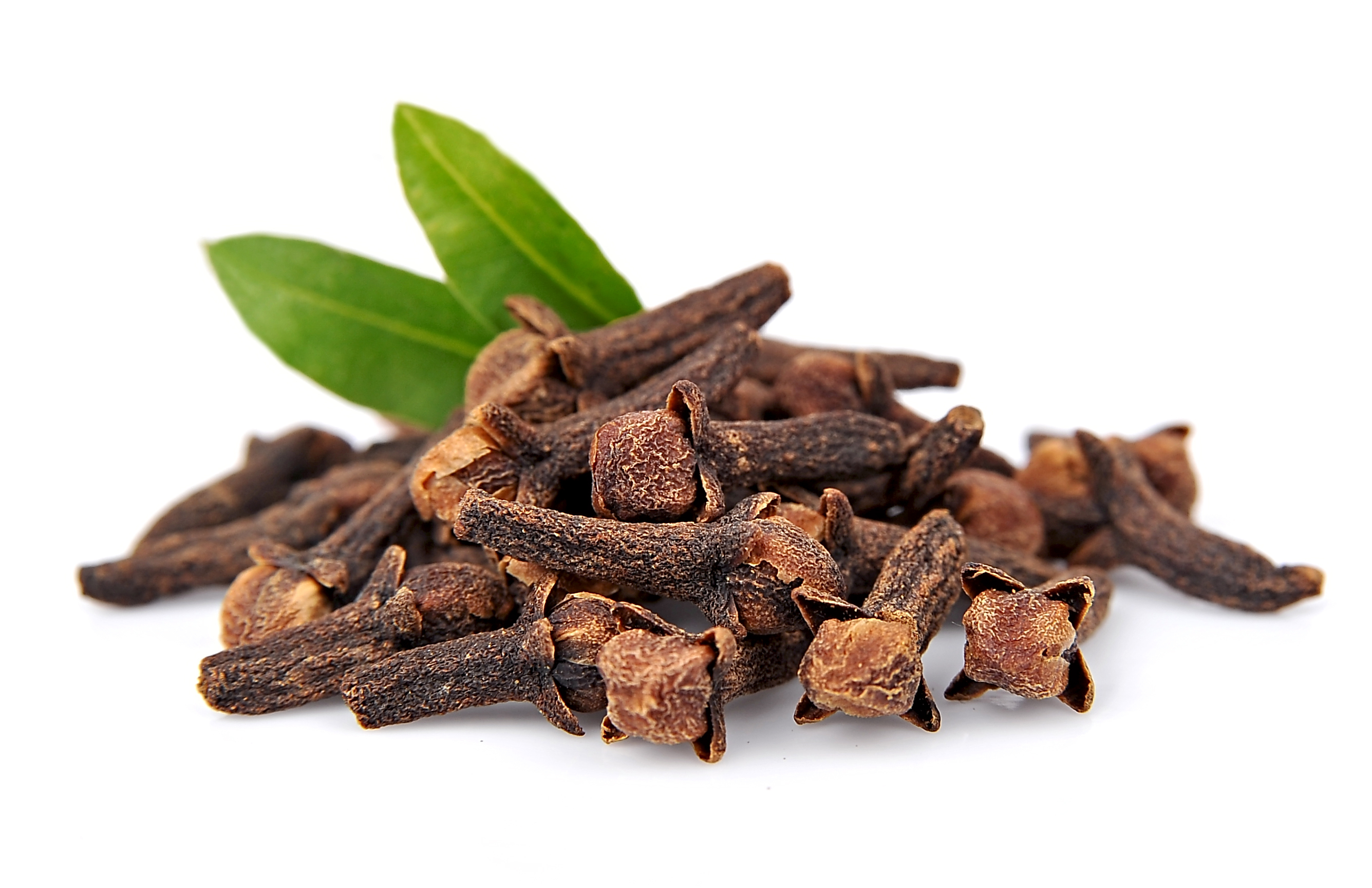 Clove Extract 5-15% Tannins
