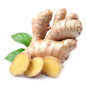 Ginger Extract 2% - 10% Gingerols
