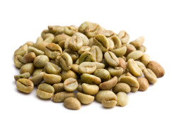 Green Coffee Bean Extract 10% - 50% CGA