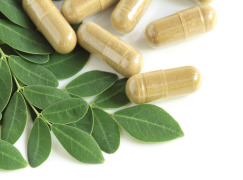 Moringa Oleifera Extract 15% Polyphenols