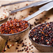 Quinoa