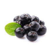 Aronia