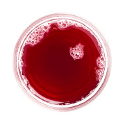 Cranberry Juice, NFC