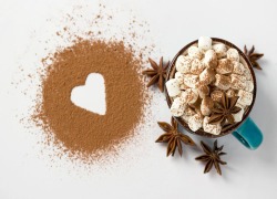 Egg white powder High Whip (HW)