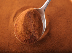 Chicory Extract / Grain Beverages