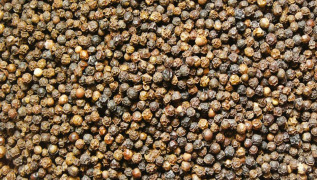 Black Pepper