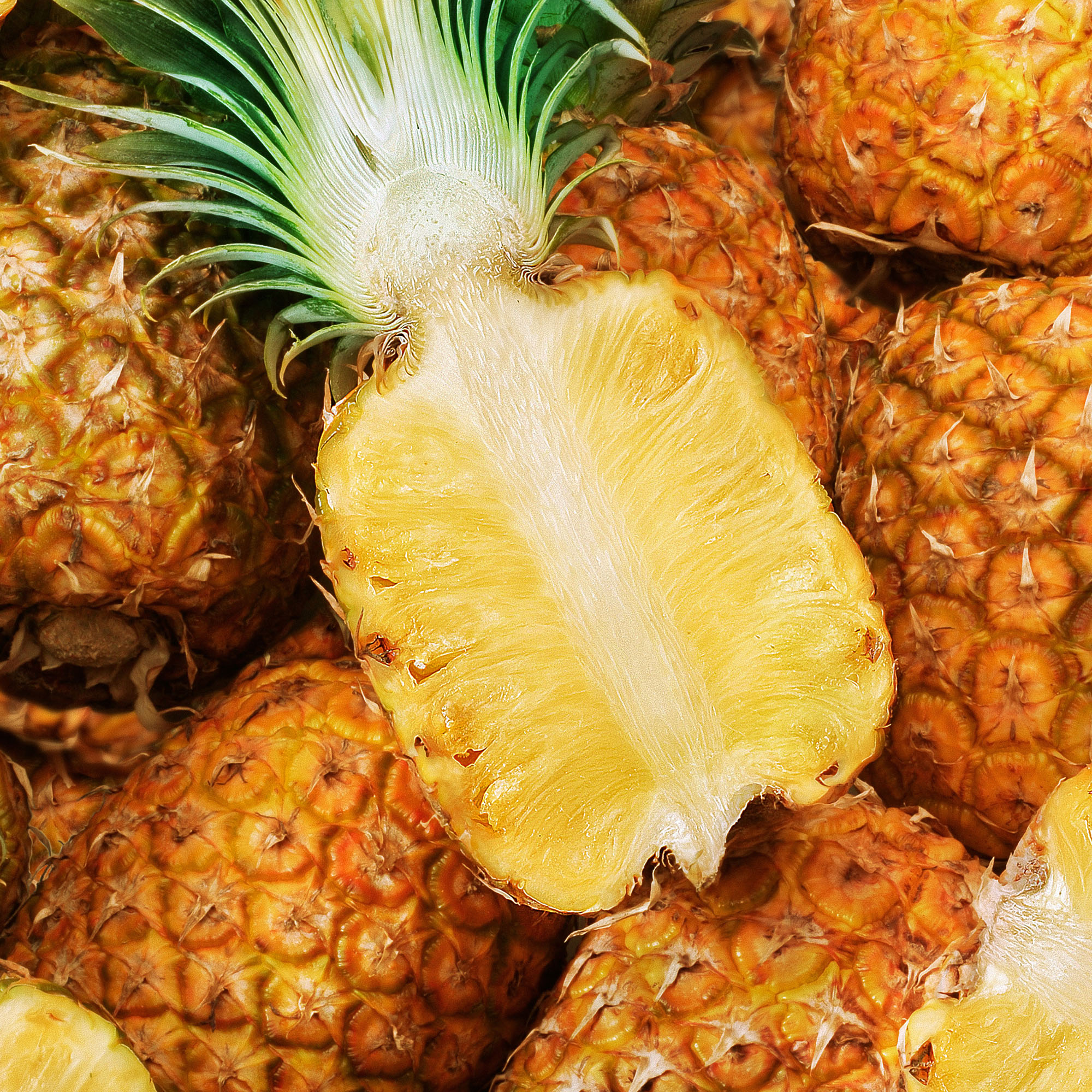 Enzymes - Important for a healthy metabolism