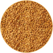 Fenugreek