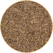 Cumin