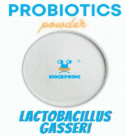 Lactobacillus gasseri