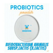 Bifidobacterium lactis 
