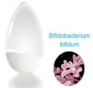 Bifidobacterium bifidum