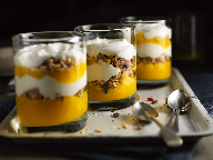 NOVATION ENDURA® 0100