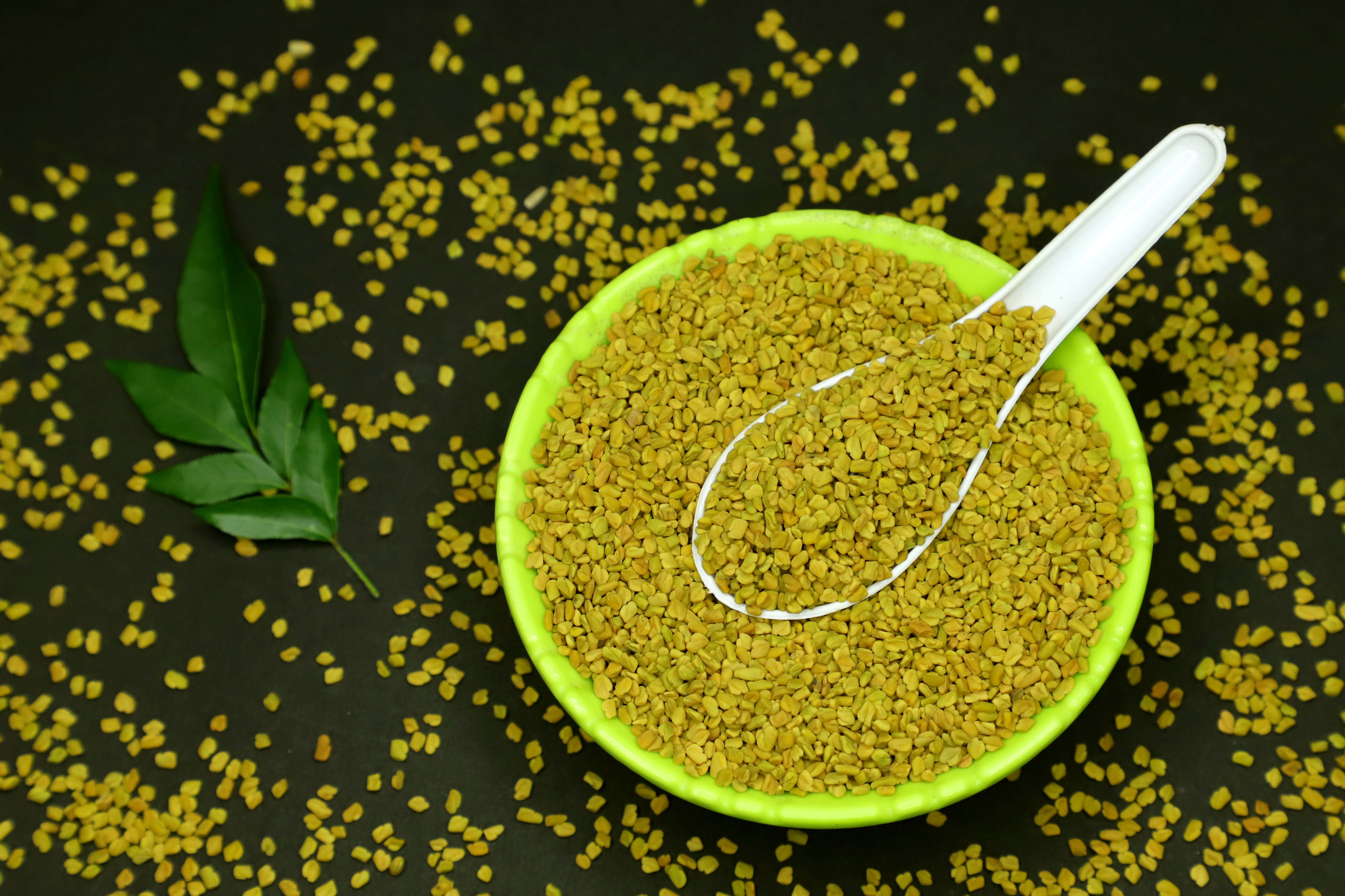 Fenugreek