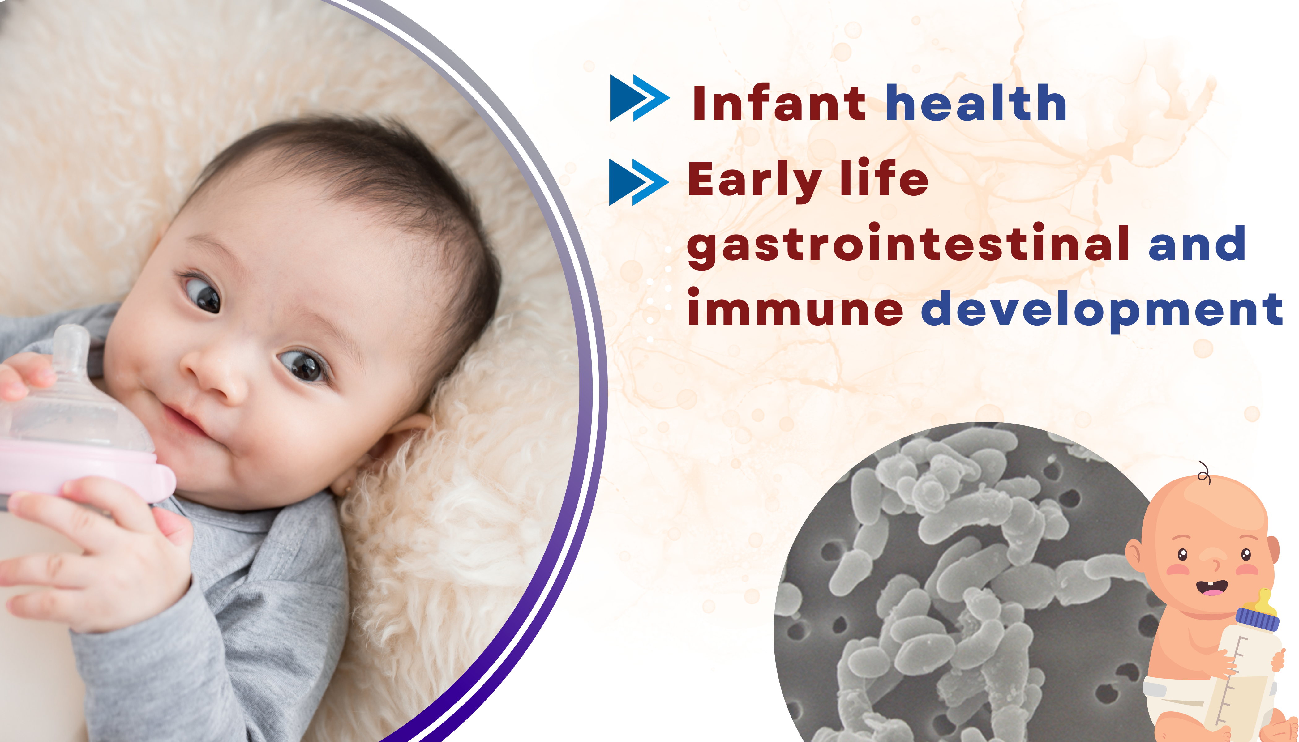 Bifidobacterium breve M-16V: Ideal Probiotic for Infant Health