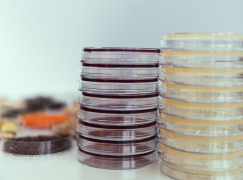 Analytical Contract Laboratory