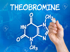 Theobromine