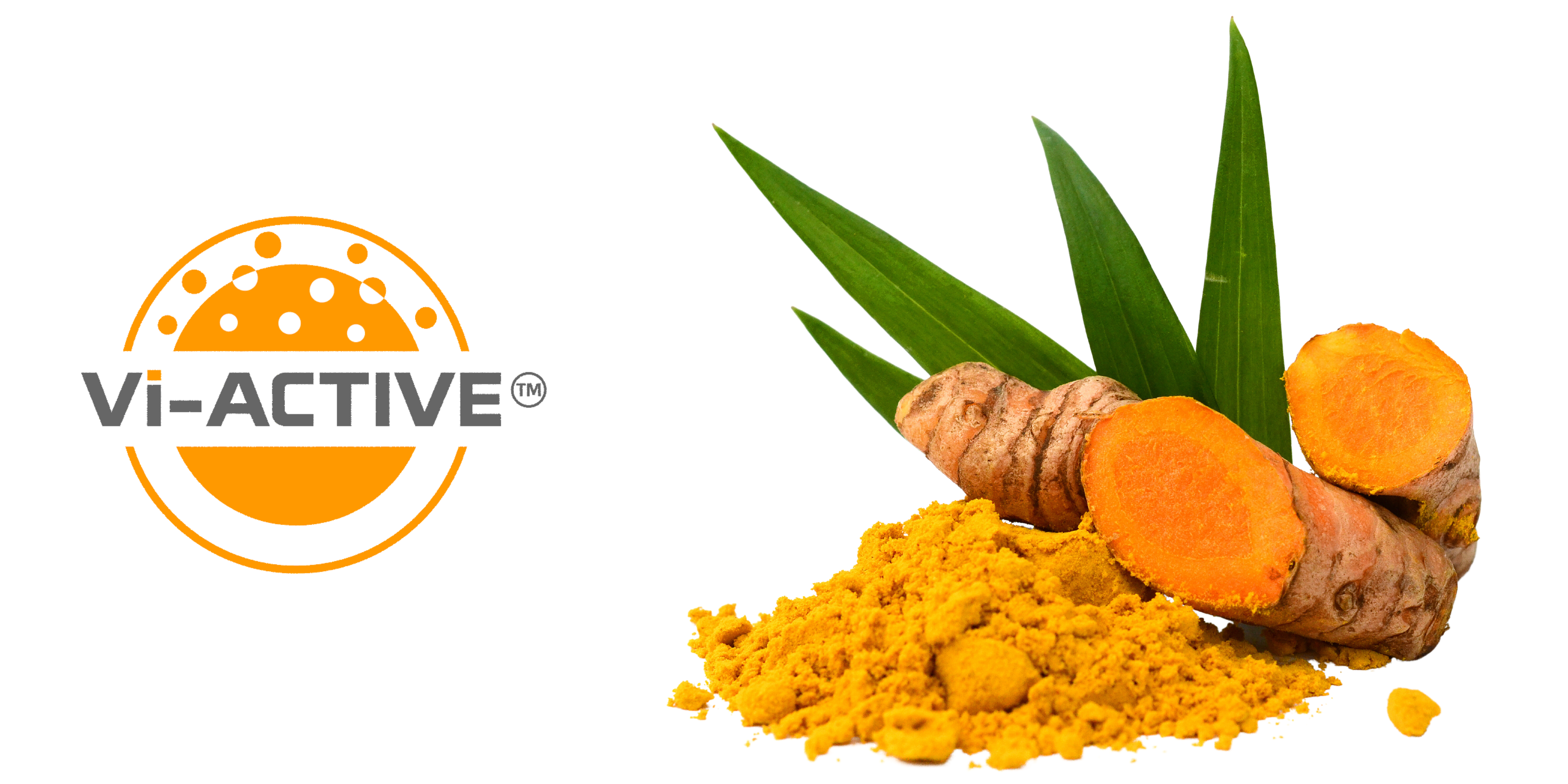 Vi-ACTIVE™ Turmeric Extract