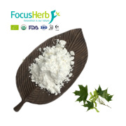 Acer Truncatum Extract
