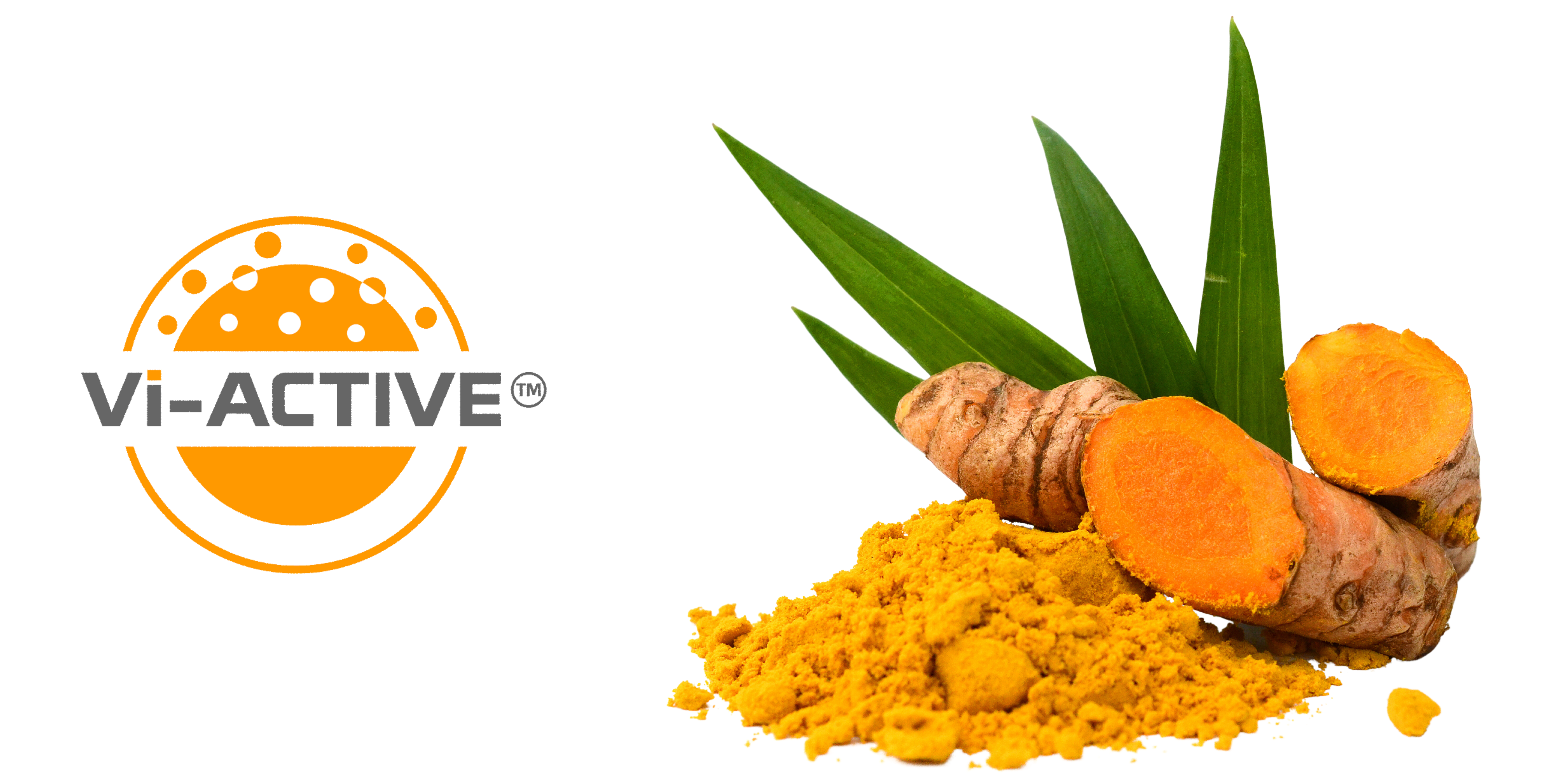 Vi-ACTIVE™ Turmeric Extract
