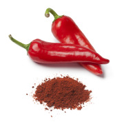 Capsicum Extract 2% Capsaicin