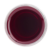 Cranberry Concentrate