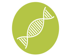 Bio-Catalysts | Enzymes