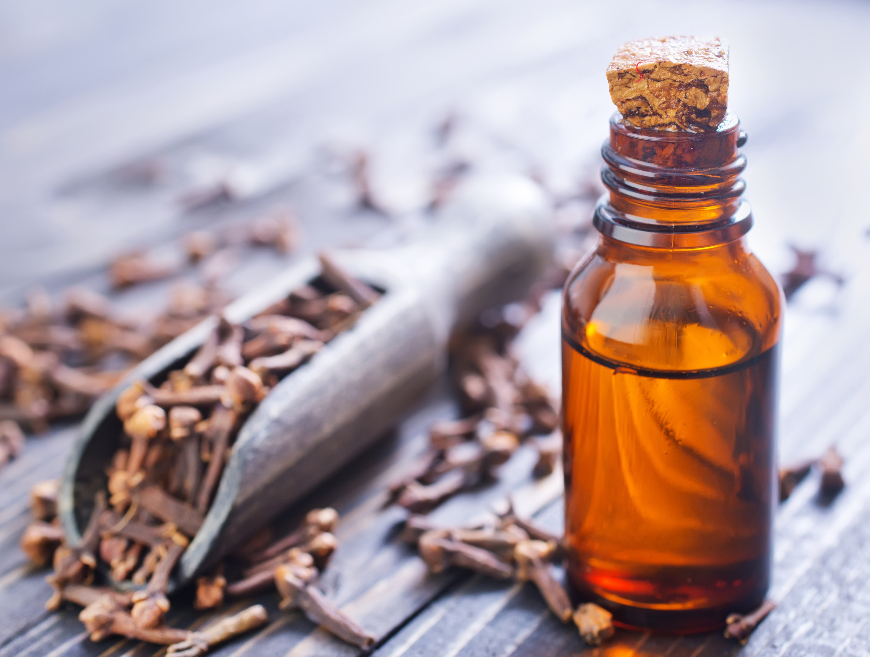 Clove Oil, Co2 Clove Oil, SCFE Clove Oil, SCFE Co2 Extract Clove Oil, Clove Oil Supplier, Clove Oil Manufacturer, Clove Oil Exporter