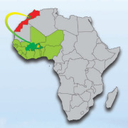 NATURAL INGREDIENTS WEST AFRICA ORIGIN