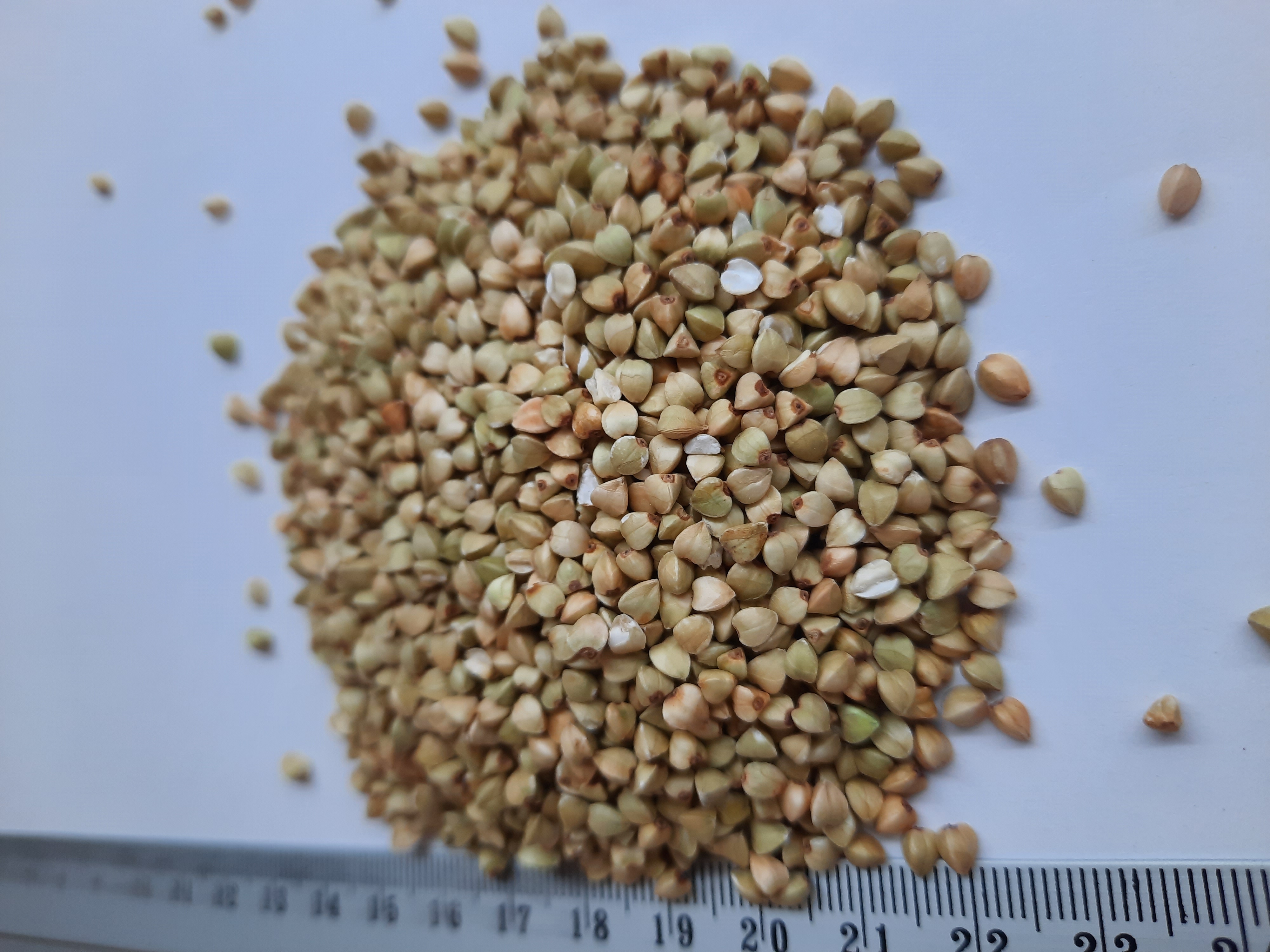 BUCKWHEAT HULLED, WHITE