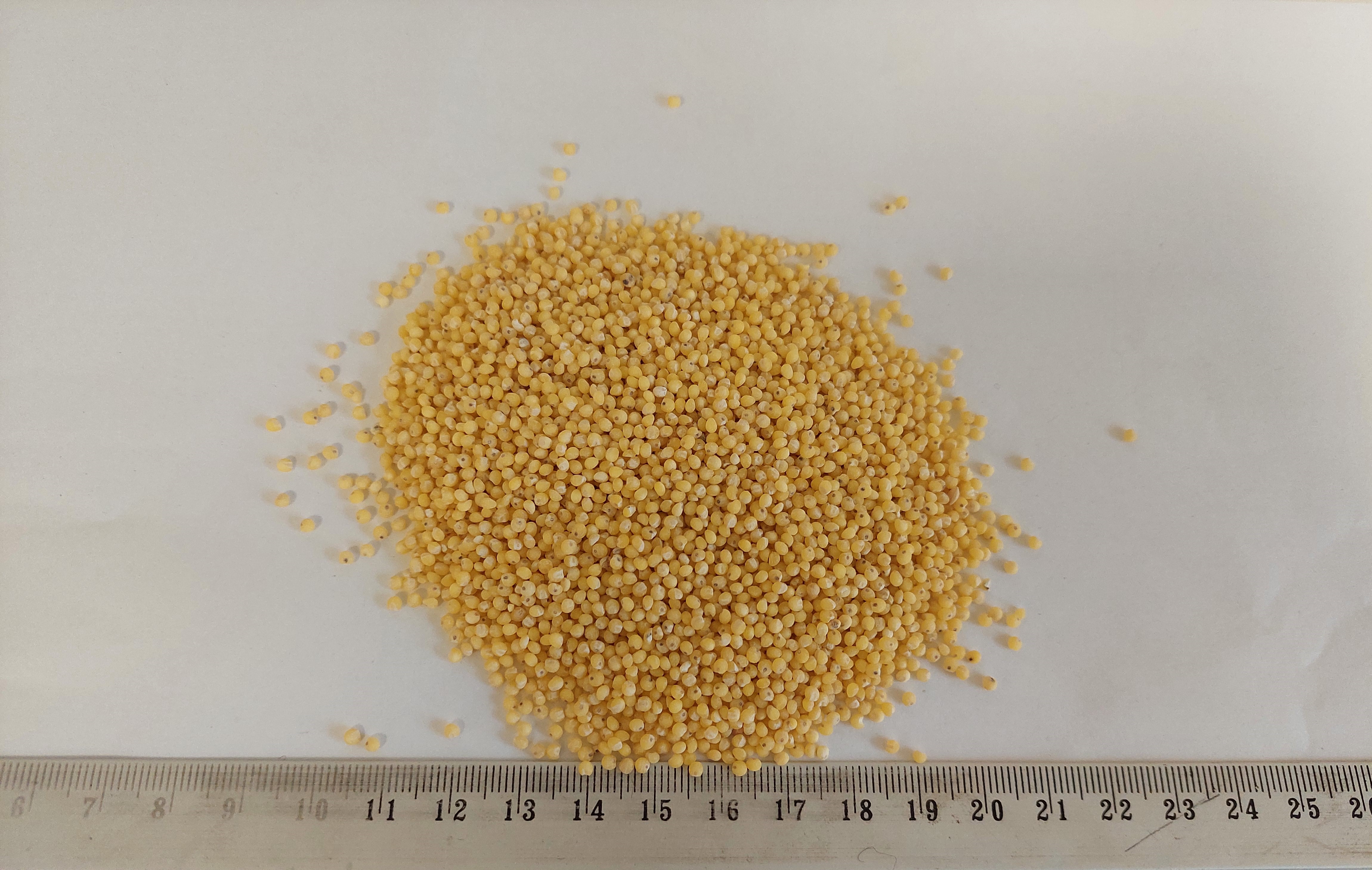 HULLED MILLET