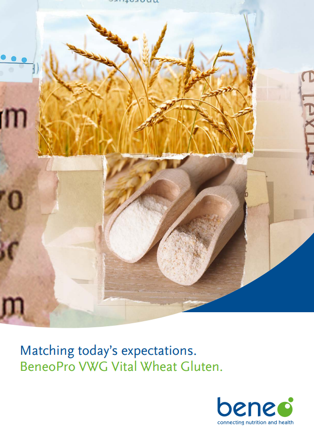 BeneoPro Vital Wheat Gluten brochure.