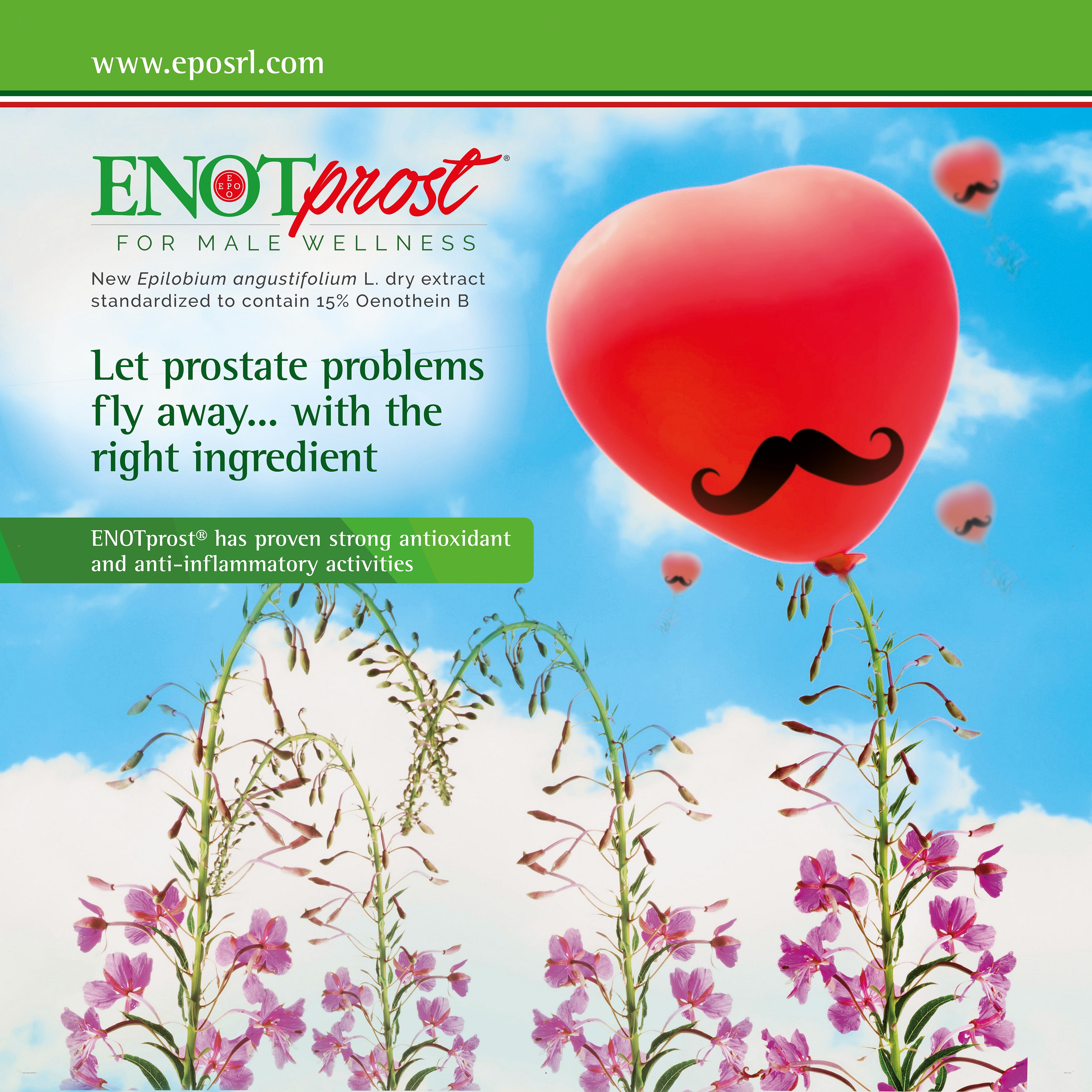 ENOTprost: from the raw material to the high-quality extract