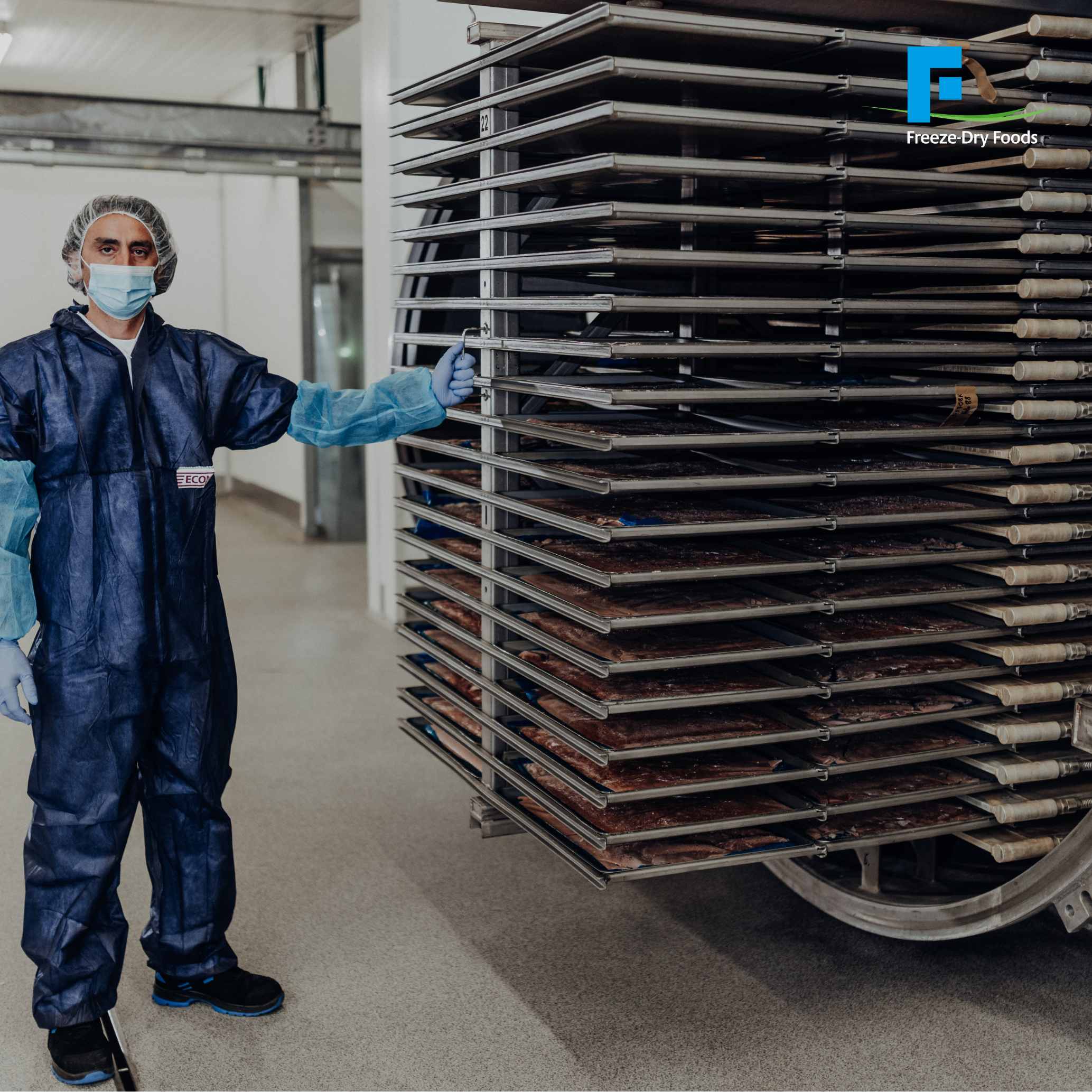 Professional Contract Drying