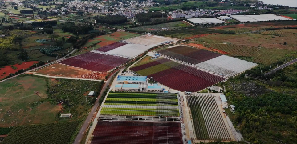 Aerial view of BGG's Haematococcus pluvialis farm