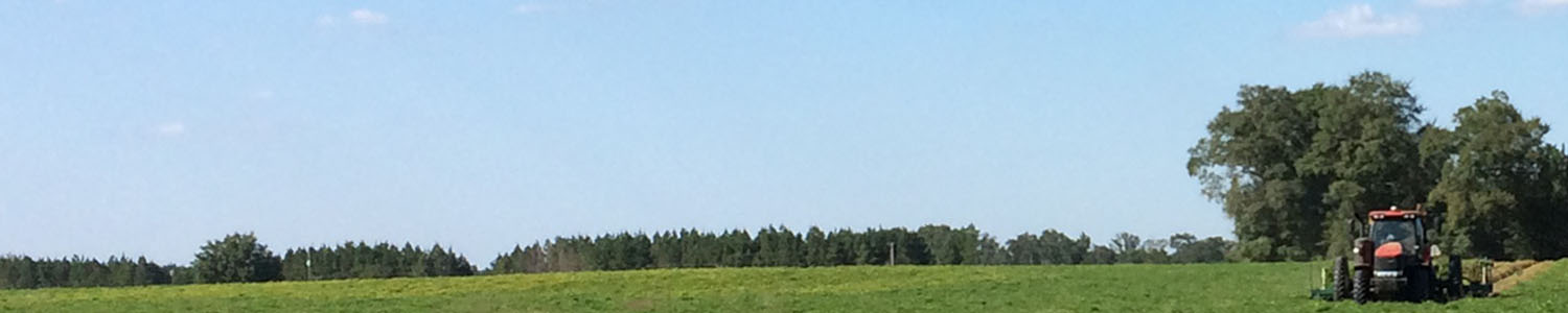 An Overview of the American Peanut Industry