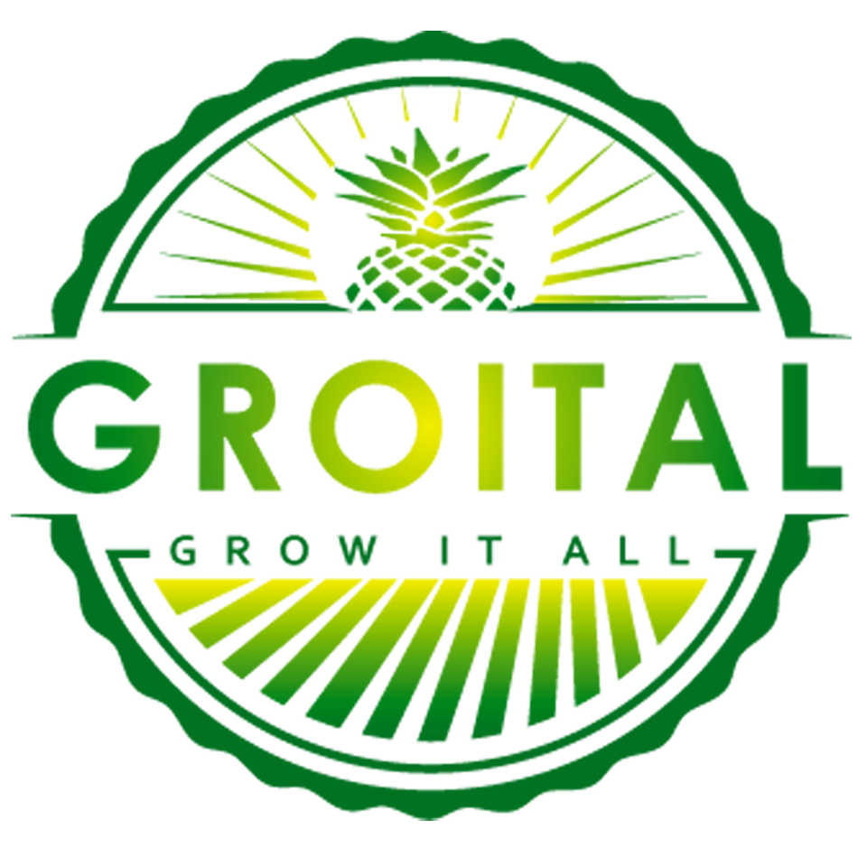 Groital Company ltd