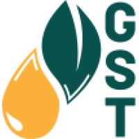 Global Sustainable Transformation GmbH