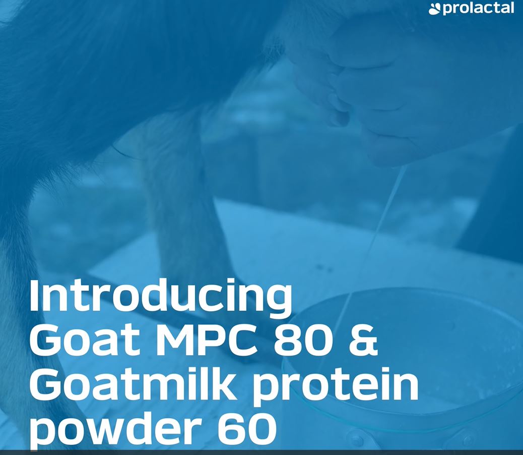 Unlock the power of protein from goat milk