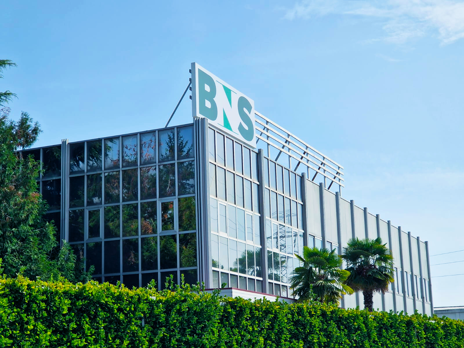 Corporate Video BNS SPAIN