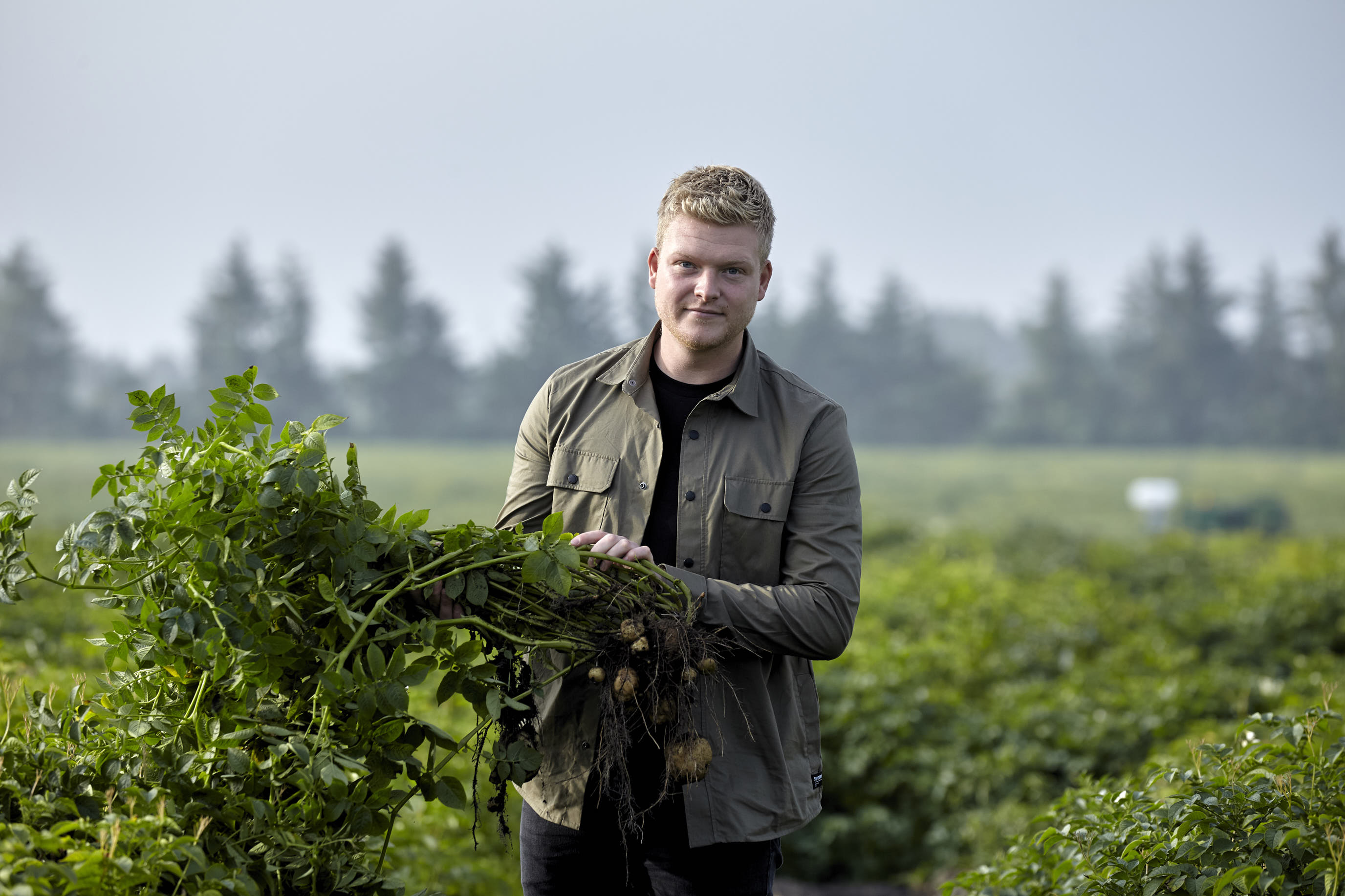 KMC - ingredients to grow your business