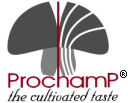 Prochamp Ingredients B.V.