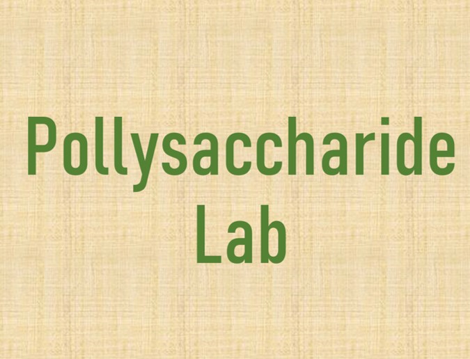 Shanghai Shi Jiu Science Technology Development Co., Ltd.