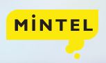 MINTEL