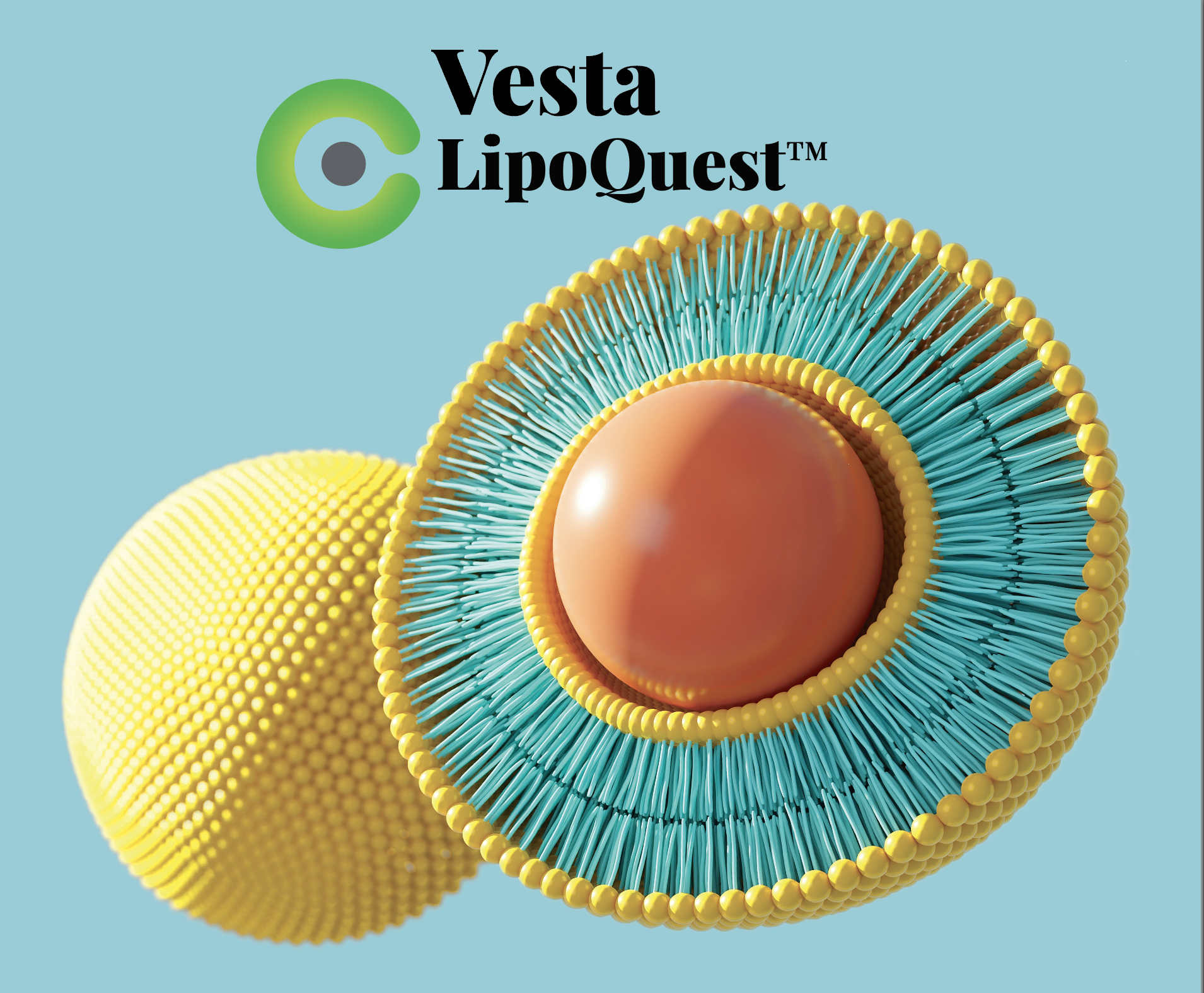 VESTA LIPOQUEST: The Best Ingredient Under The Sun!