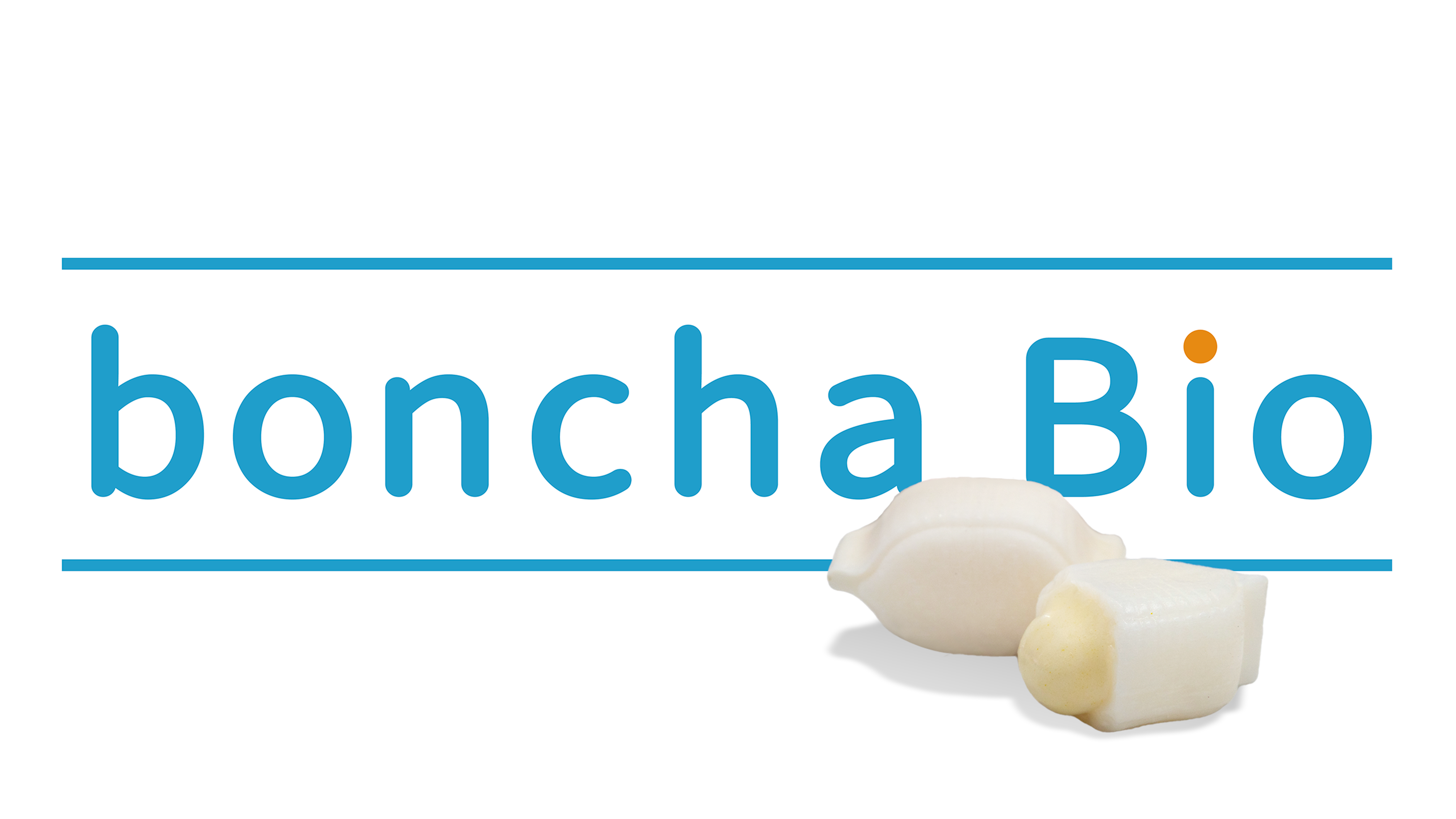 BONCHA BONCHA INTERNATIONAL COMPANY LIMI