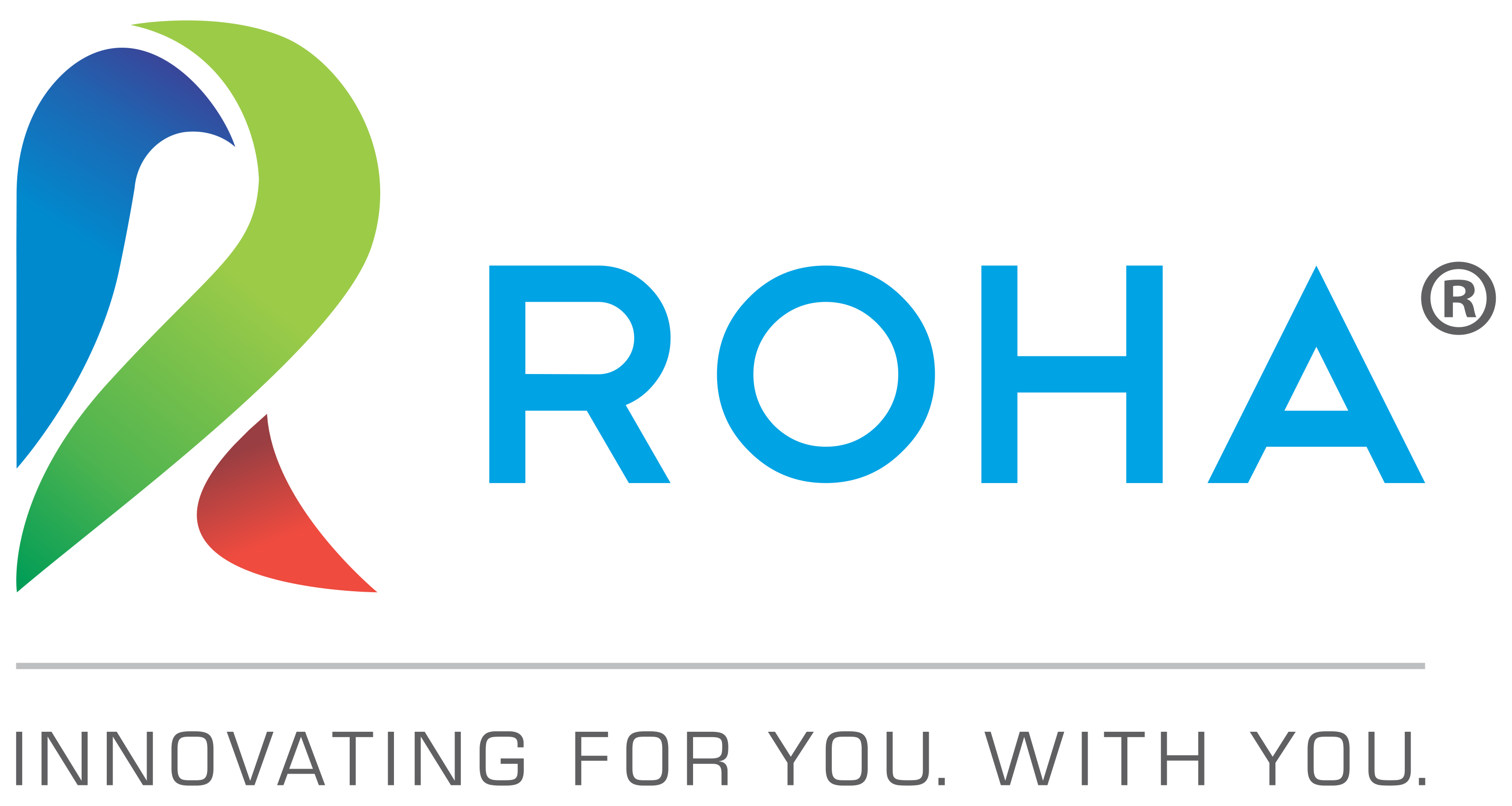 Roha Dyechem Pvt Ltd