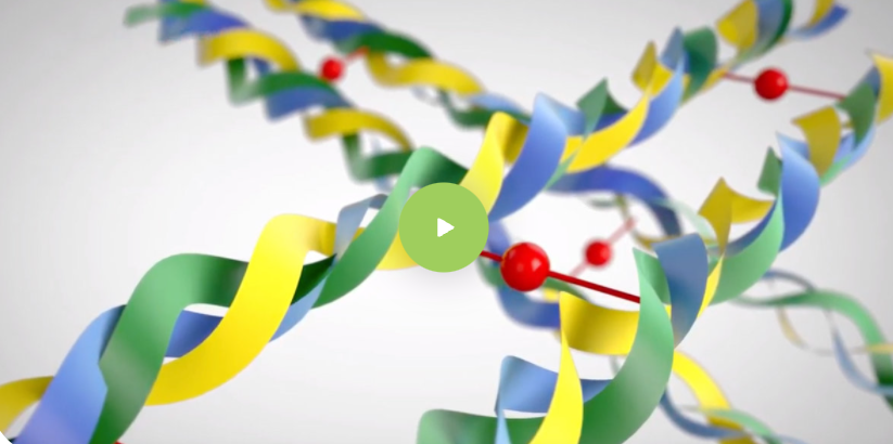 Crosslinking in soft gels_Watch our video