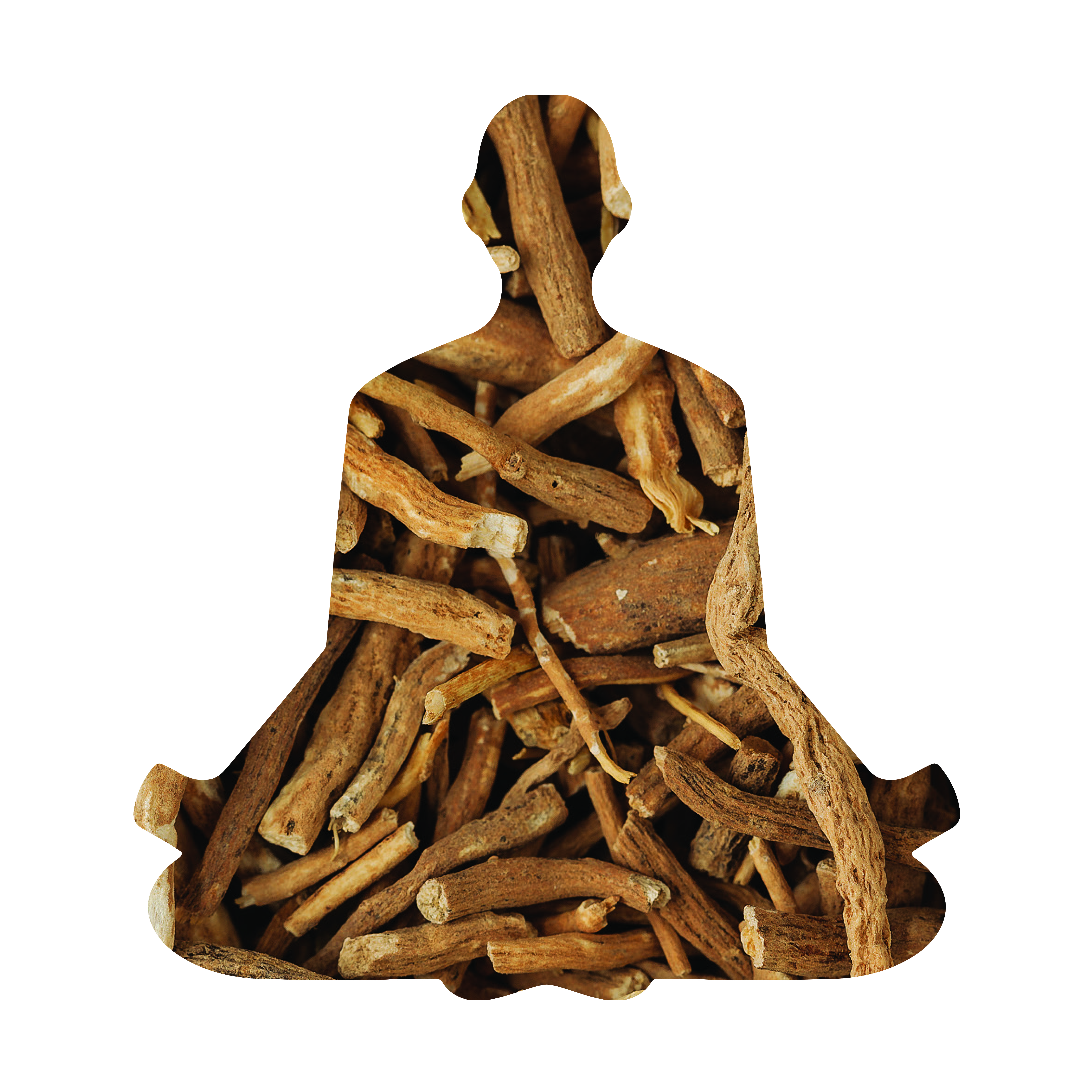 SHODEN®- THE WORLD’S MOST BIOAVAILABLE ASHWAGANDHA