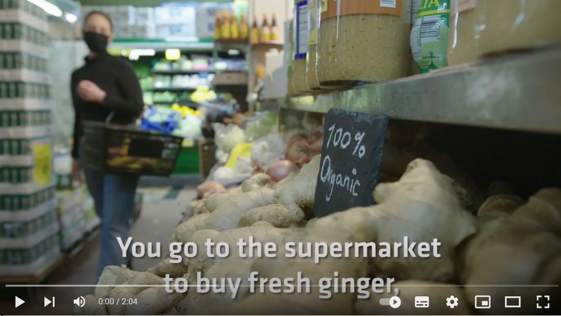 La Grama Organic Ginger